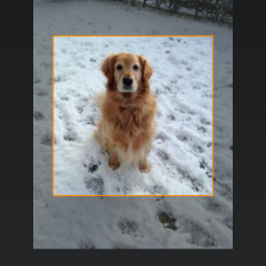 「PhotoJus Space FX - Lighting Effect Camera」で写真を手軽に宇宙っぽくしちゃおう！のアイコン