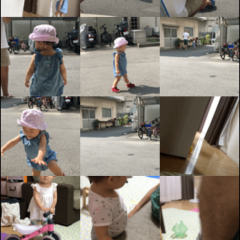 「Alive - Create & Share Animated Collages for Live Photos and Videos」で動画をひとまとめにしようのアイコン