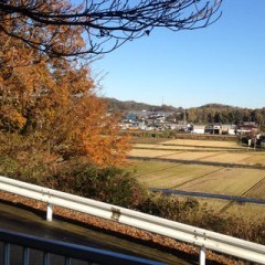 「輪郭カメラ」は、輪郭イメージが強調されたデッサンのような白黒画像を撮影できるアプリのアイコン