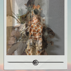 「MultiExpo」～多重露光でクールな写真を作ろう！のアイコン