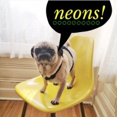 「A Beautiful Mess」大人女子たちが愛用する写真加工アプリのアイコン