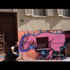 「Picaflor」仕上がりはまるで芸術作品！一色だけを強調した格好いい写真を作れる加工アプリ！のアイコン