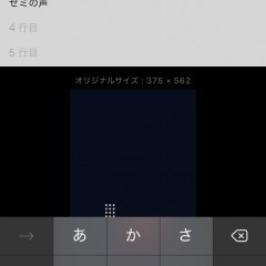 「フォト一句LITE - 縦書き・文字をかんたんレイアウト - photoikku LITE」でオリジナル作品を楽しもうのアイコン