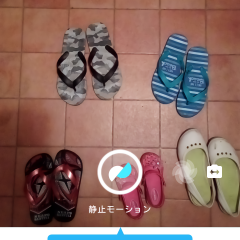 iphoneユーザーもandroidユーザーも、「Motion Stills - Create with Live Photos」でタッチすると動く「Live Photos」をもっと楽しもう！のアイコン