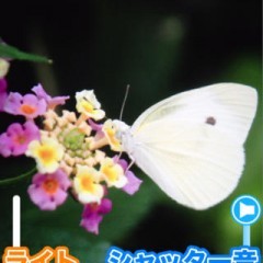 対象に優しい！　「優しいカメラ Free」！のアイコン