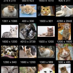 「画像検索－画像や壁紙をiPhone上で検索」！のアイコン