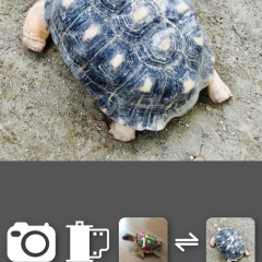 「PixelWakker」発想を転換してアート作品に！写真をピクセルに分解する画像加工アプリ！のアイコン