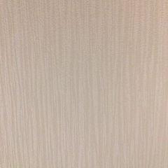 「日付onカメラ Lite -写真＆動画-」もう困らない！思い出に日付を残して保存しようのアイコン