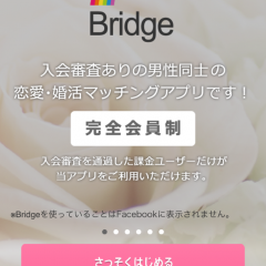 「ゲイの真面目な出会い-恋愛・婚活マッチングアプリBridge（ブリッジ）」はゲイ専用のマッチングアプリのアイコン