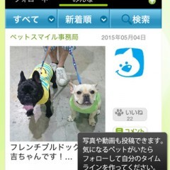 「ペットスマイル」–ペット版のSNSスタート！全国の可愛いペットの日常が見れちゃいます！のアイコン