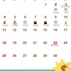 Hinakko Expense Managerは家計簿の支出のみを管理する便利アプリのアイコン