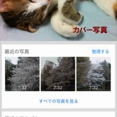 「Yahoo!かんたん写真整理」で、あなたの日常や思い出をかんたんに見やすく整理のアイコン