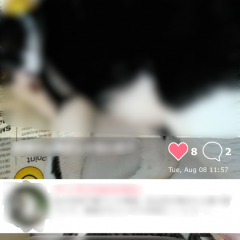 「みんなでつくろう！猫図鑑」猫の可愛い魅力を共有できる猫好きのためのSNS癒しアプリ！のアイコン