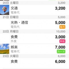 家計を把握して貯金する助けになるアプリ「支出管理」のアイコン