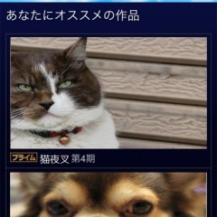 「みるプラス」でいろんな動画を見てみよう！のアイコン