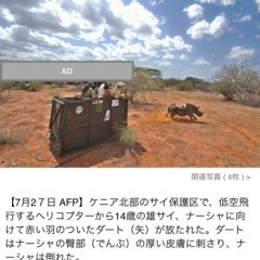 海外ニュースに強いニュースアプリ「AFPBB News」のアイコン