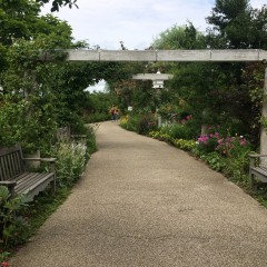 「DT:CALC」で日時のカウントは完璧！のアイコン