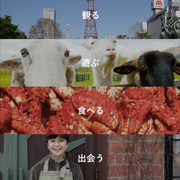 「北海道Likers」観光・グルメ・新スポット、北海道の魅力を伝えるアプリのアイコン