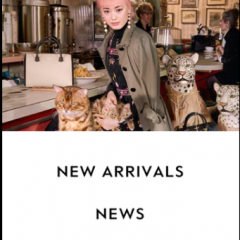 ケイト・スペード ニューヨーク公式アプリでブランド最新アイテムをゲットのアイコン