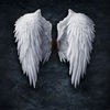 天使の羽の壁紙HD：アート写真 アイコン