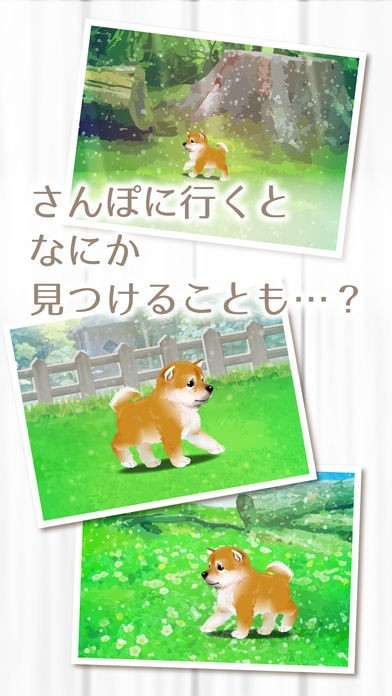 癒しの子犬育成ゲーム 柴犬編 Iphone Androidスマホアプリ ドットアップス Apps