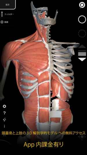 筋肉系 解剖学3dアトラス 人体の骨格と筋肉 おすすめ 無料スマホゲームアプリ Ios Androidアプリ探しはドットアップス Apps