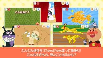 アンパンマンとこれ なあに？｜赤ちゃん・幼児向け無料知育アプリ 