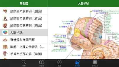 ステッドマン医学大辞典 改訂第6版 | iPhone・Android対応の 