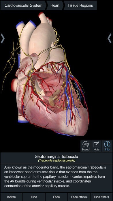 essential anatomy android essential anatomy android