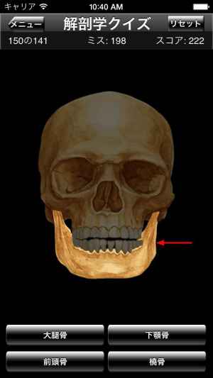 解剖学クイズ Iphone Android対応のスマホアプリ探すなら Apps