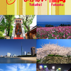 福岡のグルメ・スポット検索ならiPhoneアプリ「よかばい福岡」がおすすめ！のアイコン