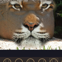  「InstaFace:face eyes blend morph with animal effect」で動物と合体！？のアイコン
