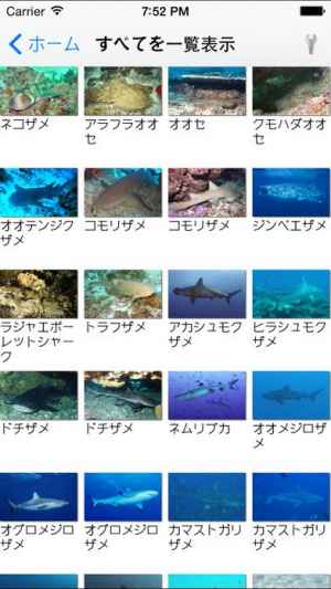南国魚ガイド 1600種類の魚図鑑 Iphone Androidスマホアプリ ドットアップス Apps