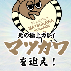 幻の魚？「マツカワを追え！」で美味しく面白く魚を食べよう！のアイコン