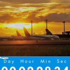 成田国際空港専用のフライト情報アプリ「NRT_Airport Navi」のアイコン