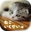 癒しの猫育成ゲーム3Dのアイコン