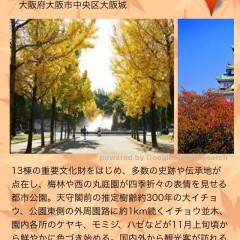 「紅葉マップ」シンプルな操作で紅葉のスポット情報を確認できるアプリのアイコン