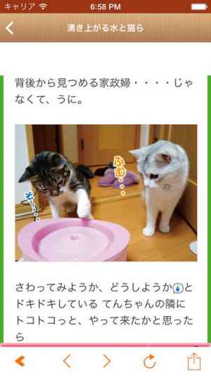 日刊ねこ新聞 猫ブログ ネコ動画アプリ Iphone Android
