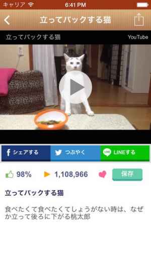 日刊ねこ新聞 猫ブログ ネコ動画アプリ Iphone Androidスマホアプリ ドットアップス Apps