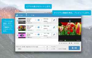 フリー Any Mp4 変換 Mp4動画をmp3 Mkvに変換 Iphone Androidスマホアプリ ドットアップス Apps