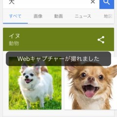 面倒くさがりな人必見！写真で簡単メモ代わり、おすすめスクリーンショットの便利アプリ10選！のアイコン