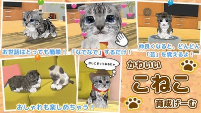 かわいい こねこ育成ゲーム - のんびり癒しの ねこげーむ | スクリーンショット