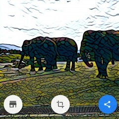 SNSでも大活躍!!誰でも簡単な似顔絵アプリ5選のアイコン