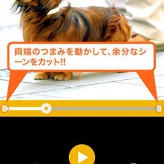 動画や音楽を使って逆再生動画を作れる面白カメラアプリ5選のアイコン