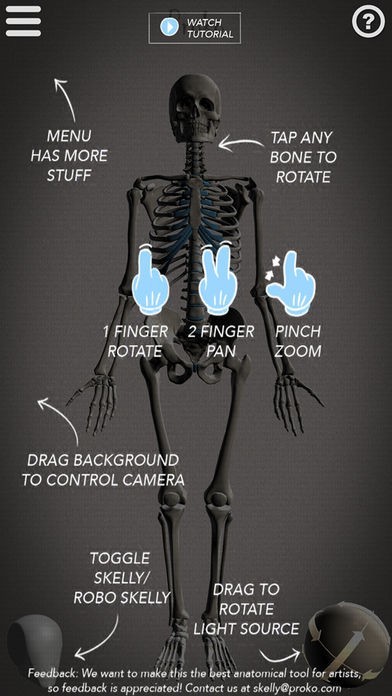 Skelly Poseable Anatomy Model For Artists Iphone Android対応のスマホアプリ探すなら Apps