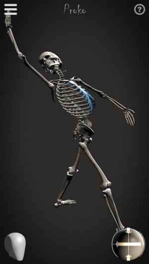 Skelly Poseable Anatomy Model For Artists Iphone Android対応のスマホアプリ探すなら Apps