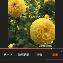 初心者とは思えない完成度！作り方が簡単な動画作成アプリ4選のアイコン