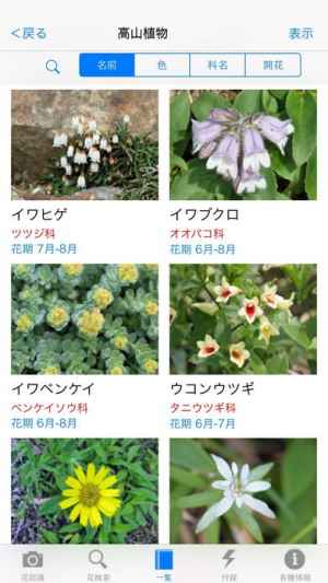 花しらべ 花認識 花検索 Iphone Android対応のスマホアプリ探すなら Apps