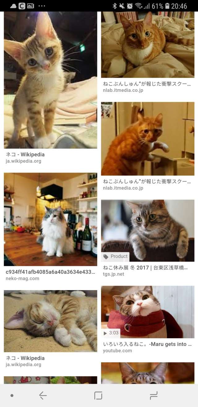 画像や写真から類似画像を検索できるおすすめアプリ厳選5選 Iphone Android対応のスマホアプリ探すなら Apps