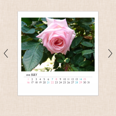 SNSで共有だけでは終わらせない！旅行写真を無駄にしない4つのアイデアのアイコン